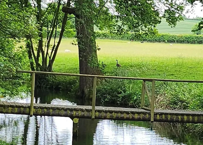 The Meadow