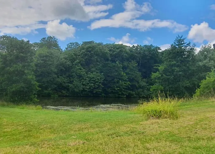 The Meadow